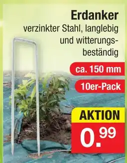 Zimmermann Erdanker Angebot