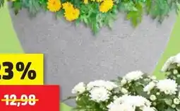 Thomas Philipps Pflanztopf stone ca. ø 40 cm x h 31 cm Angebot