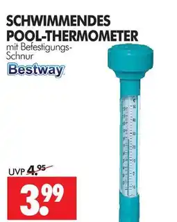 Wreesmann Bestway schwimmendes pool-thermometer Angebot