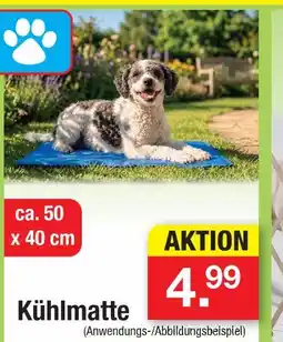 Zimmermann Kühlmatte Angebot