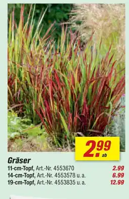 toom Baumarkt Gräser 11-cm-topf Angebot