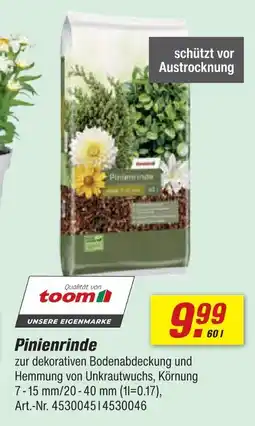 toom Baumarkt Toom pinienrinde Angebot