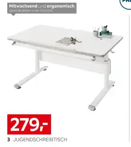 XXXLutz Paidi jugendschreibtisch ,,diego 120“ Angebot