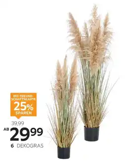 XXXLutz Ambia home dekogras Angebot