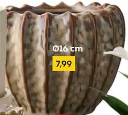 Rusta Blumentopf Angebot