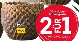 Rusta Blumentopf Angebot