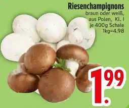 Edeka Riesenchampignons Angebot