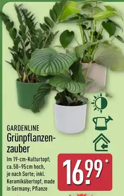 Aldi Nord GARDENLINE Grünpflanzenzauber Angebot