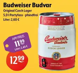 Getränke Hoffmann Budweiser Budvar Angebot