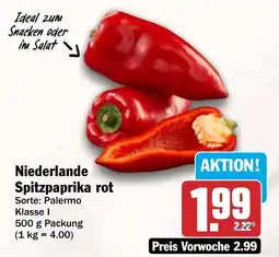 AEZ Niederlande Spitzpaprika rot Angebot