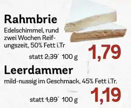 AEZ Rahmbrie Angebot