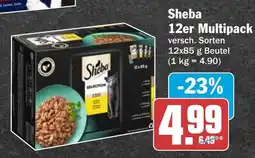 AEZ Sheba Multipack Angebot