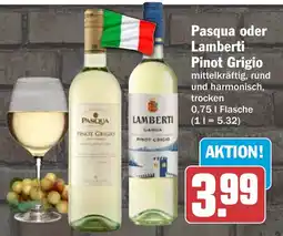 AEZ Pasqua oder Lamberti Pinot Grigio Angebot