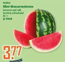 Klaas und Kock Mini-Wassermelonen Angebot