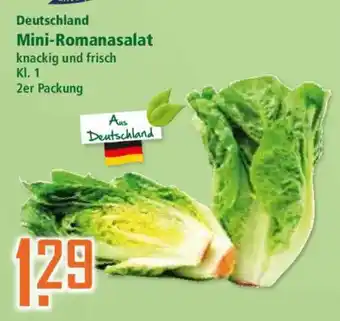 Klaas und Kock Mini-Romanasalat Angebot