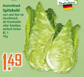 Klaas und Kock Spitzkohl Angebot