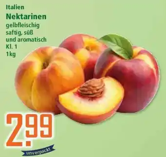 Klaas und Kock Nektarinen Angebot