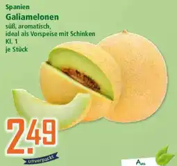 Klaas und Kock Galiamelonen Angebot