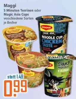 Klaas und Kock Maggi 5 Minuten Terrinen oder Magic Asia Cups Angebot