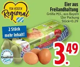 Edeka Eier aus Freilandhaltung Angebot
