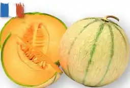 Scheck-in-Center Charentais Melonen Angebot