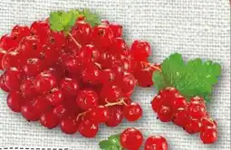 nahkauf Rewe Regional Johannisbeeren Angebot