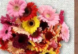 nahkauf Gerbera Schnittblumen Angebot