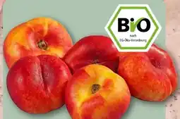 REWE Center Rewe Bio Plattnektarinen Angebot