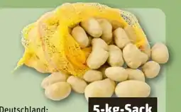 REWE Center Speisekartoffeln Angebot
