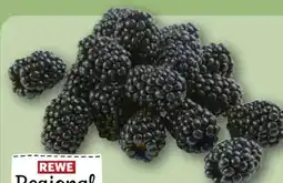 REWE Center Rewe Regional Brombeeren Angebot
