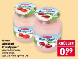 Wasgau Ehrmann Almighurt Fruchtjoghurt Angebot