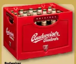 REWE Center Budweiser Budvar (CZ) Czech Premium Lager Angebot