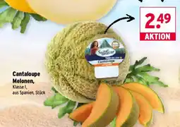 Wasgau Cantaloupe Melonen, Santalucar Angebot
