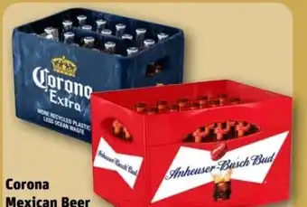 REWE Center Corona Extra Mexican Beer Angebot