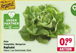 Wasgau Peter Kopfsalat Angebot