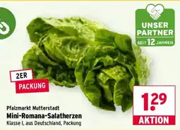 Wasgau Mini-Romana-Salatherzen Angebot