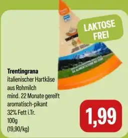 Feneberg Trentingrana Angebot