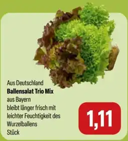 Feneberg Ballensalat Trio Mix Angebot