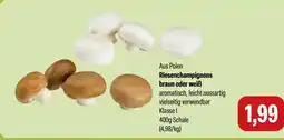 Feneberg Riesenchampignons Angebot
