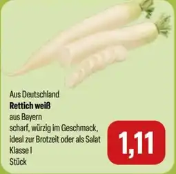 Feneberg Rettich weiß Angebot