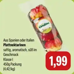 Feneberg Plattnektarinen Ondine Angebot