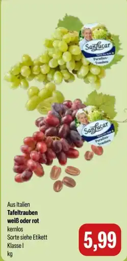 Feneberg Sanfucar Tafeltrauben Angebot