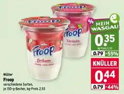 Wasgau Müller Froop Angebot