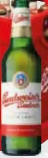 trinkgut Budweiser Budvar (CZ) Premium Lager Angebot