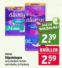 Wasgau always Slipeinlagen Angebot