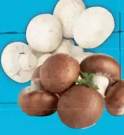 E-Center Riesenchampignons Angebot
