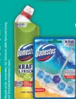 E-Center Domestos WC-Stein Angebot