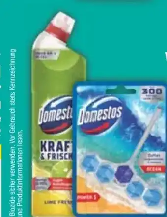 E-Center Domestos WC-Stein Angebot