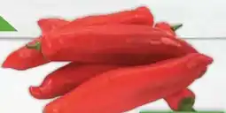 E-Center Rot Spitzpaprika Angebot