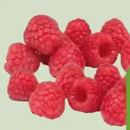 Edeka Xpress Himbeeren Angebot